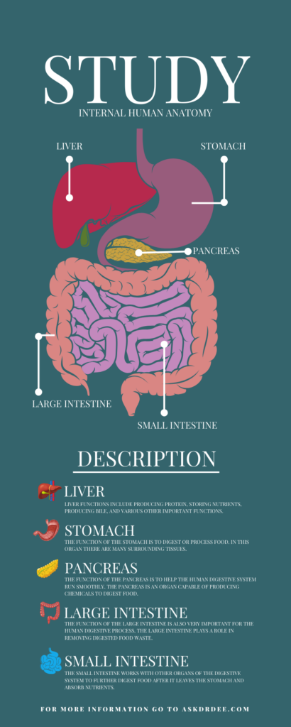 Unlock Vitality: Transform Your Wellness with SNAP Gut Health!